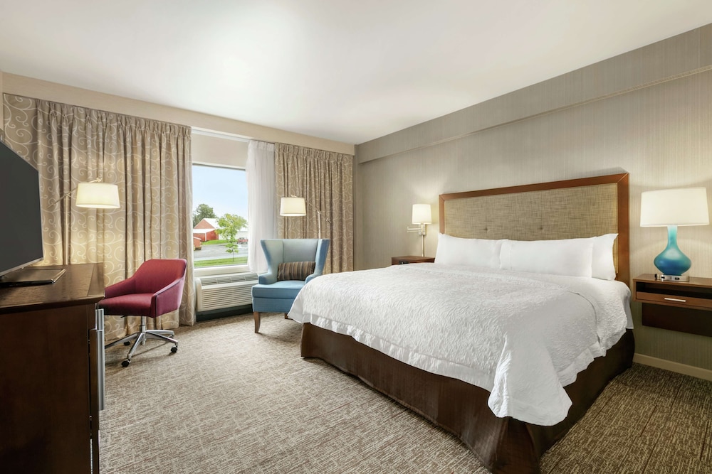 Room, 1 King Bed, Accessible, Non Smoking (hearing accessible)