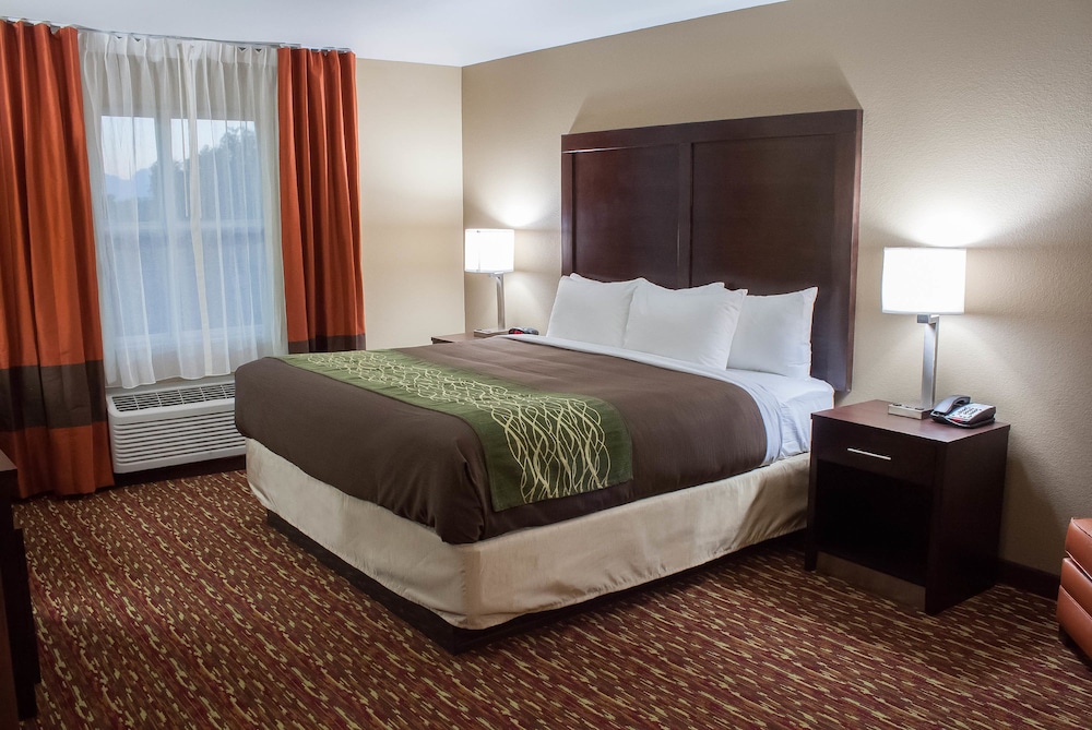 Suite, 1 King Bed with Sofa bed, Non Smoking photo 2