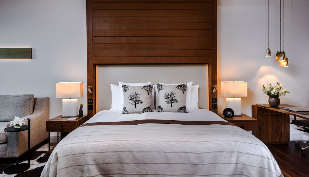Contemporary Deluxe room with Spa Access photo 3