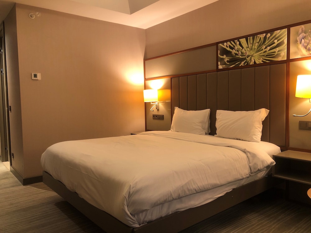 Room, 1 King Bed photo 2