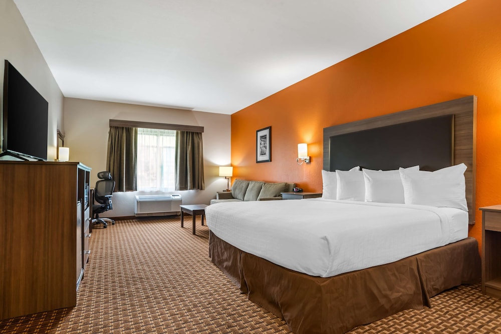 Standard Room, 1 King Bed, Non Smoking, Refrigerator & Microwave (with Sofabed)