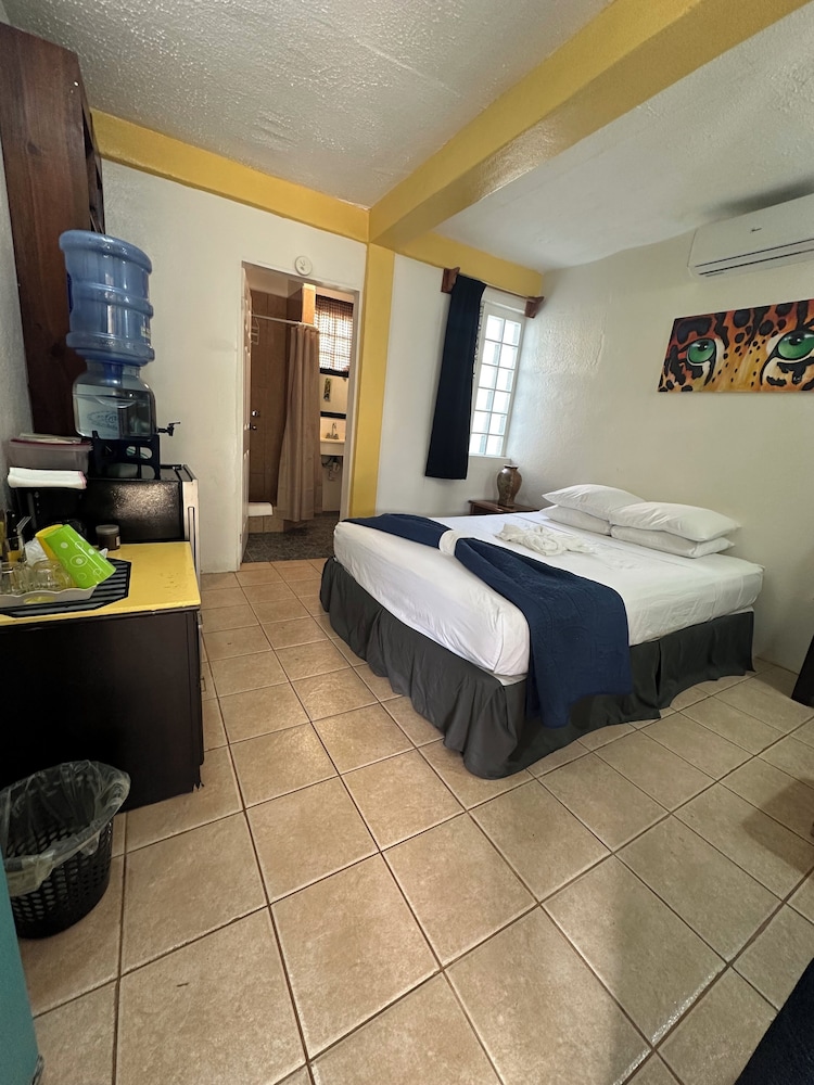Standard Room, 1 Queen Bed, Refrigerator, Courtyard View