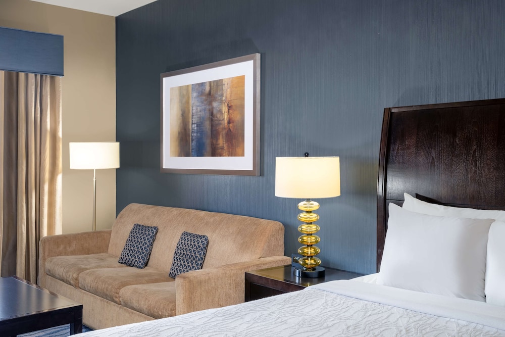 Junior Suite, 1 King Bed, Accessible, Bathtub - Photo 6