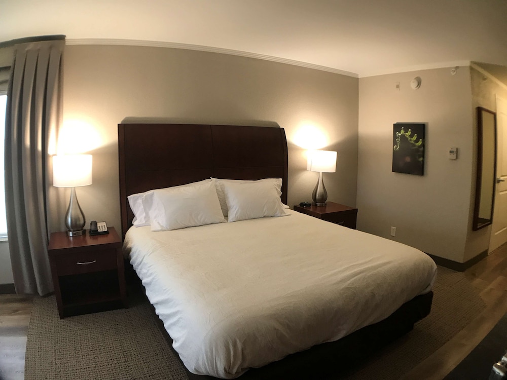 Room, 1 King Bed photo 3