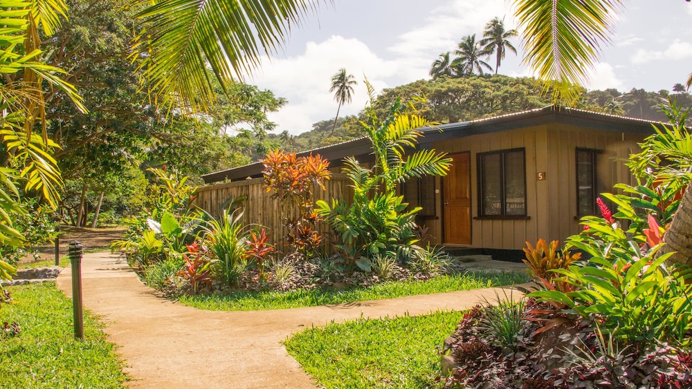 Tropical Suite photo 3