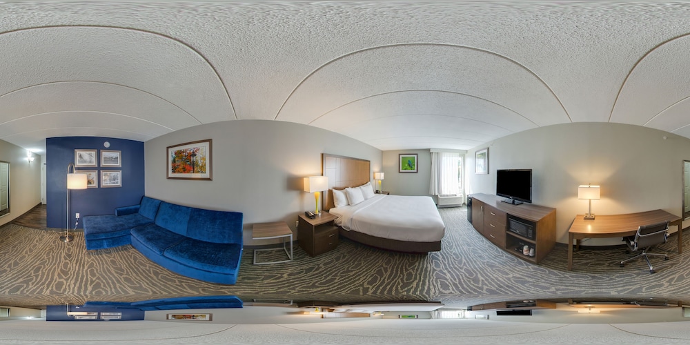Suite, 1 King Bed, Non Smoking photo 2