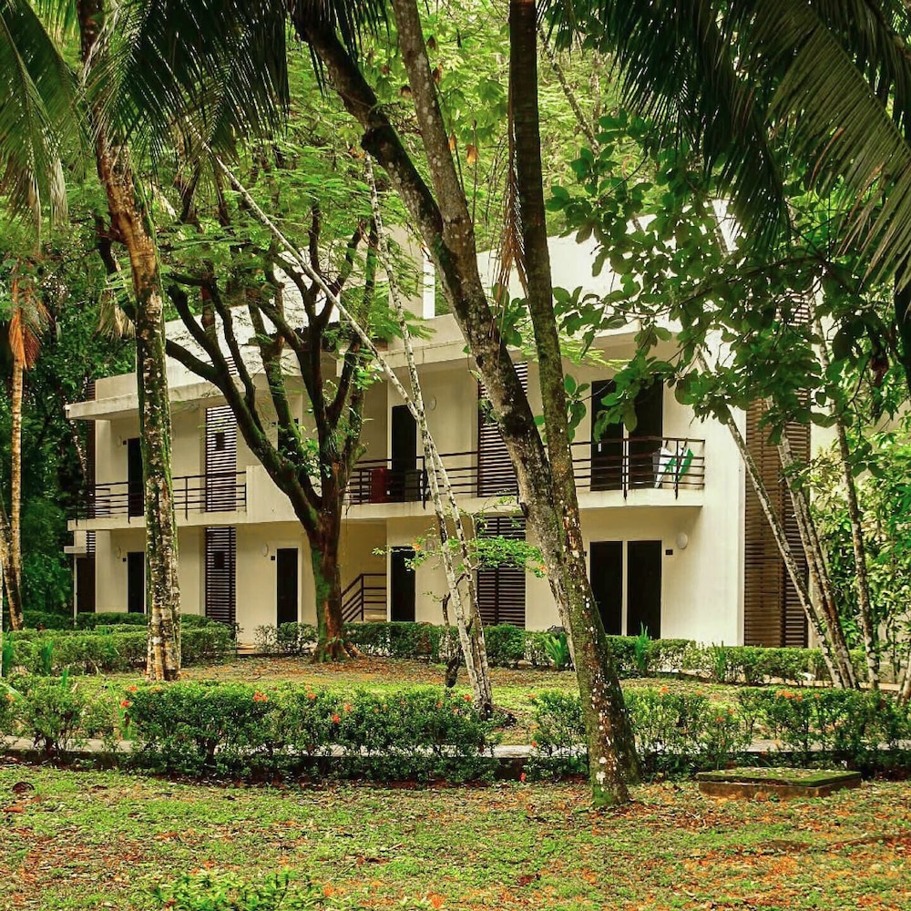 Executive Double Room (Plus)