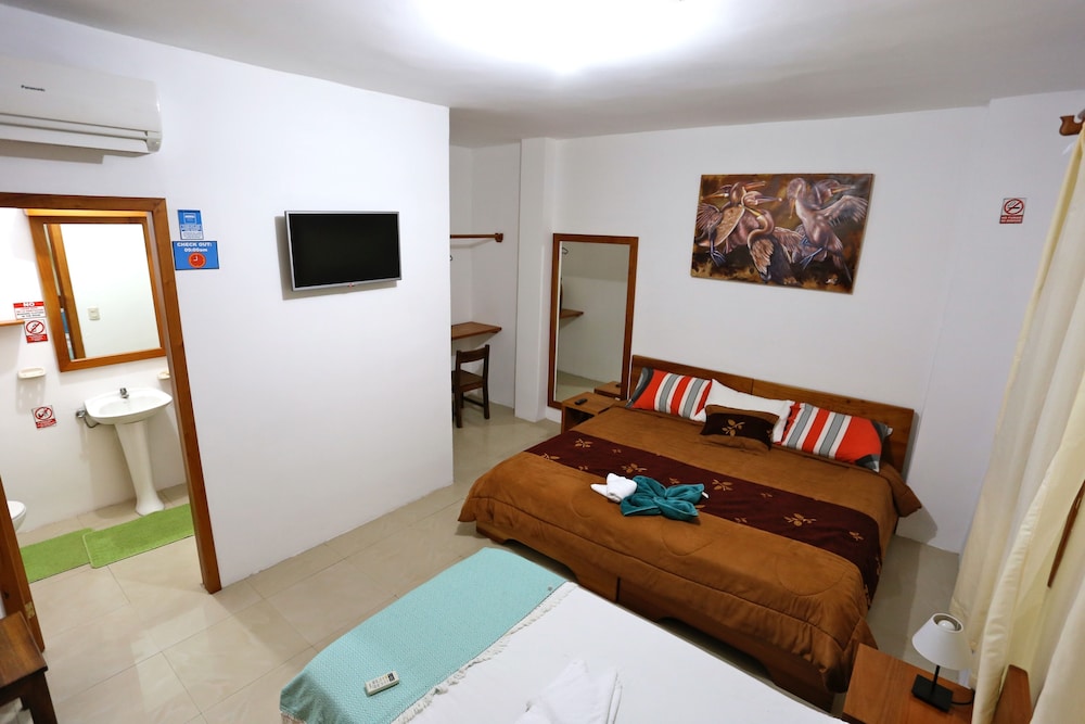 Standard Double Room, 1 Bedroom, Garden Area photo 3