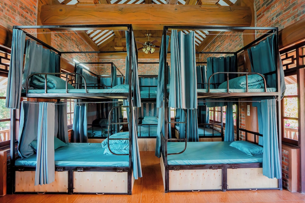 Shared Dormitory photo 1
