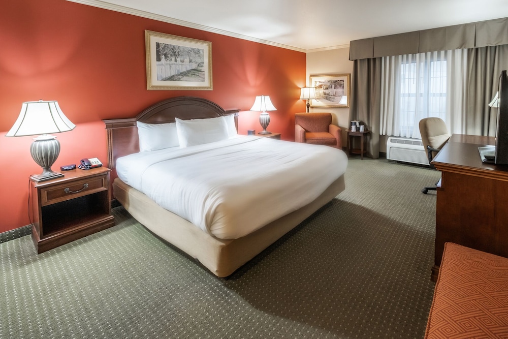 Room, 1 King Bed, Non Smoking photo 1