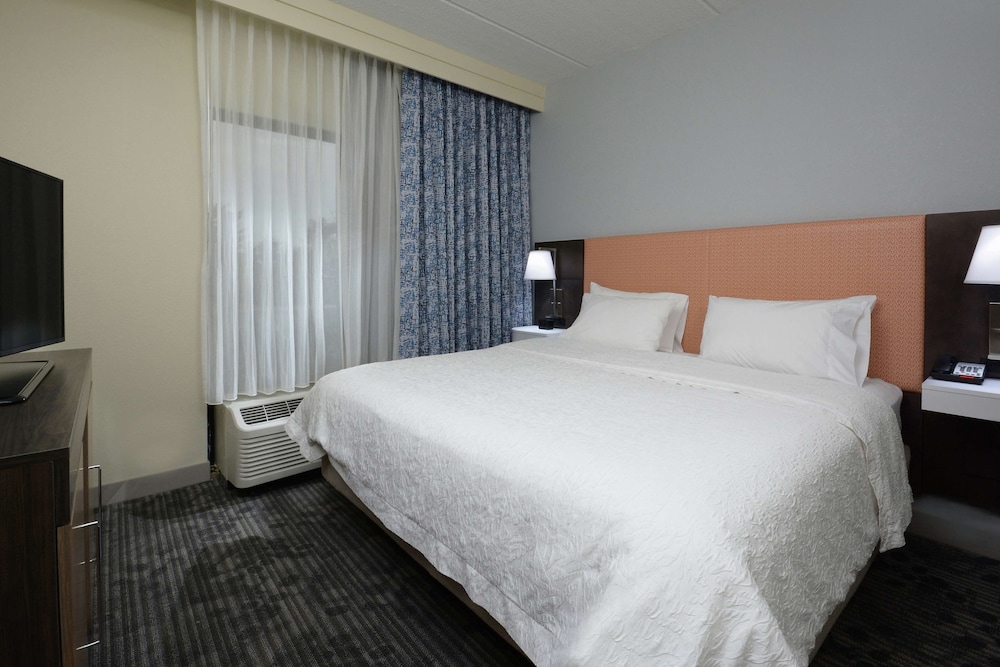 Suite, 1 King Bed, Accessible (Roll-In Shower) photo 3