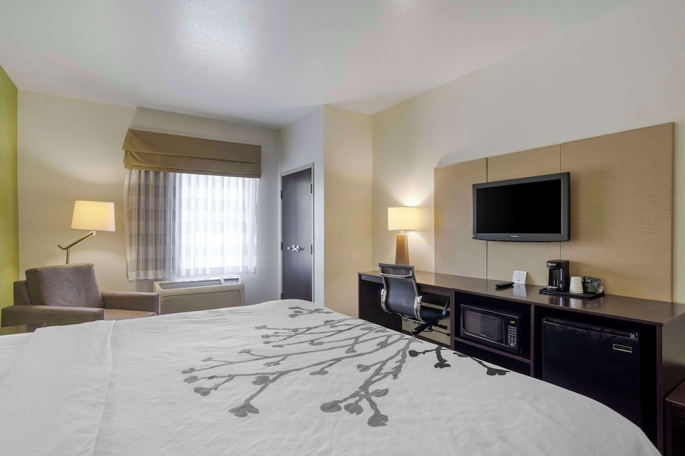 Suite, 1 King Bed with Sofa bed, Accessible, Non Smoking - Photo 3