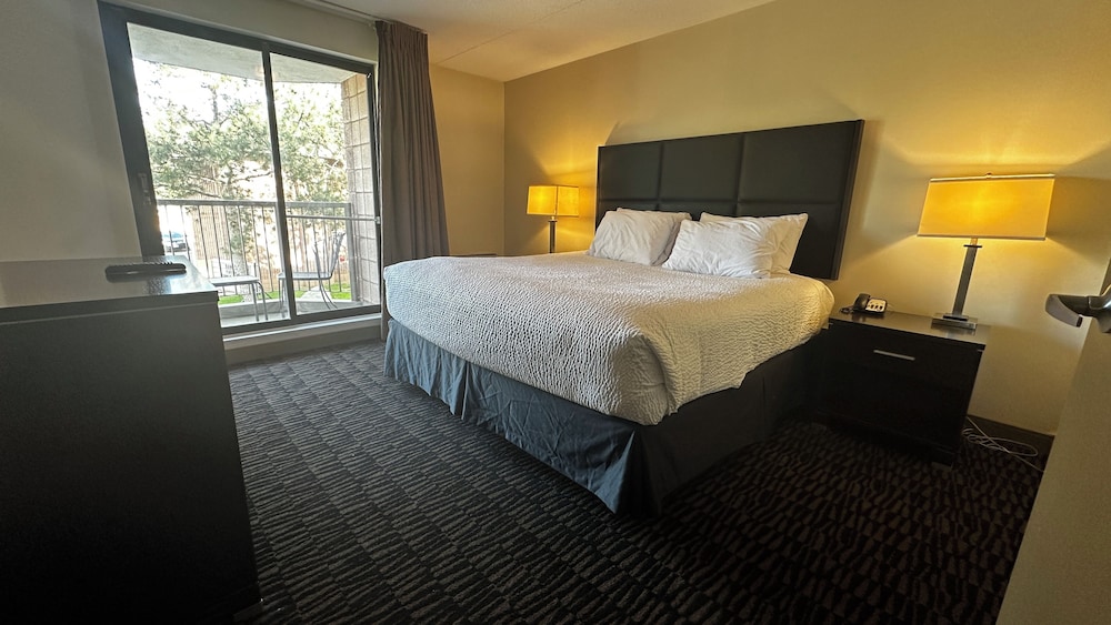 Suite, 1 King Bed