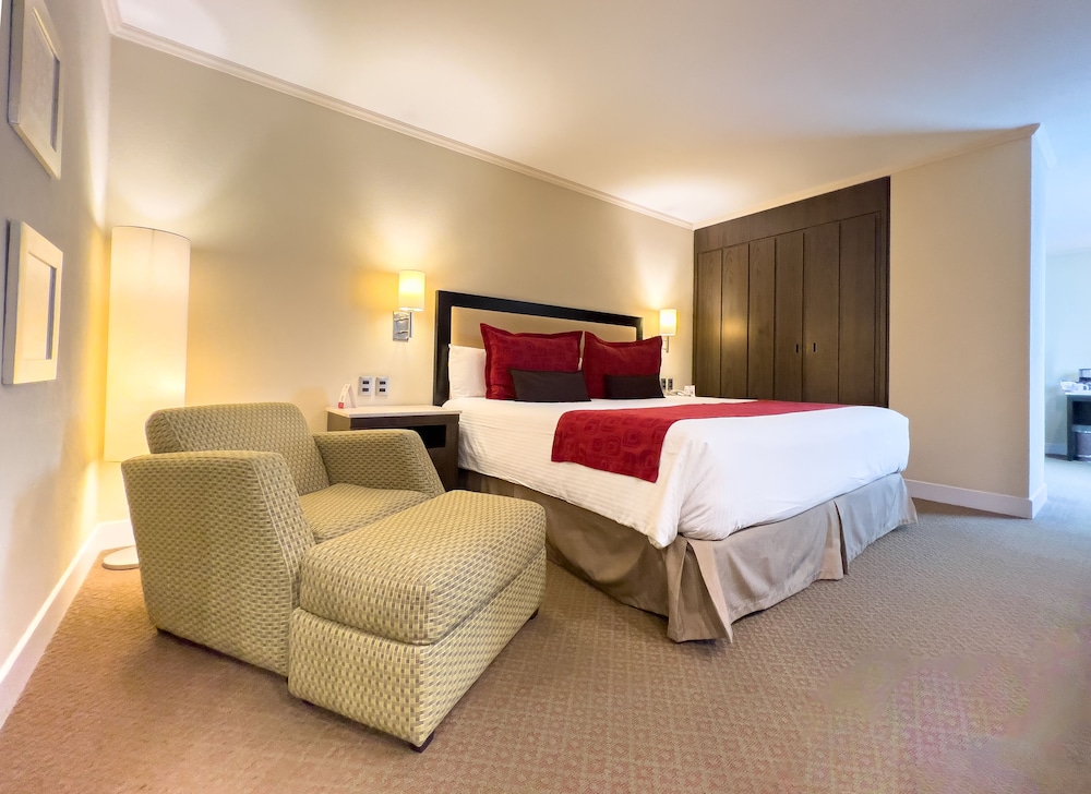 Suite, 1 King Bed photo 1