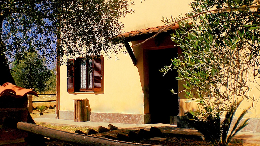Il Maremmano (no translation needed - it’s a specific name), Billede 4