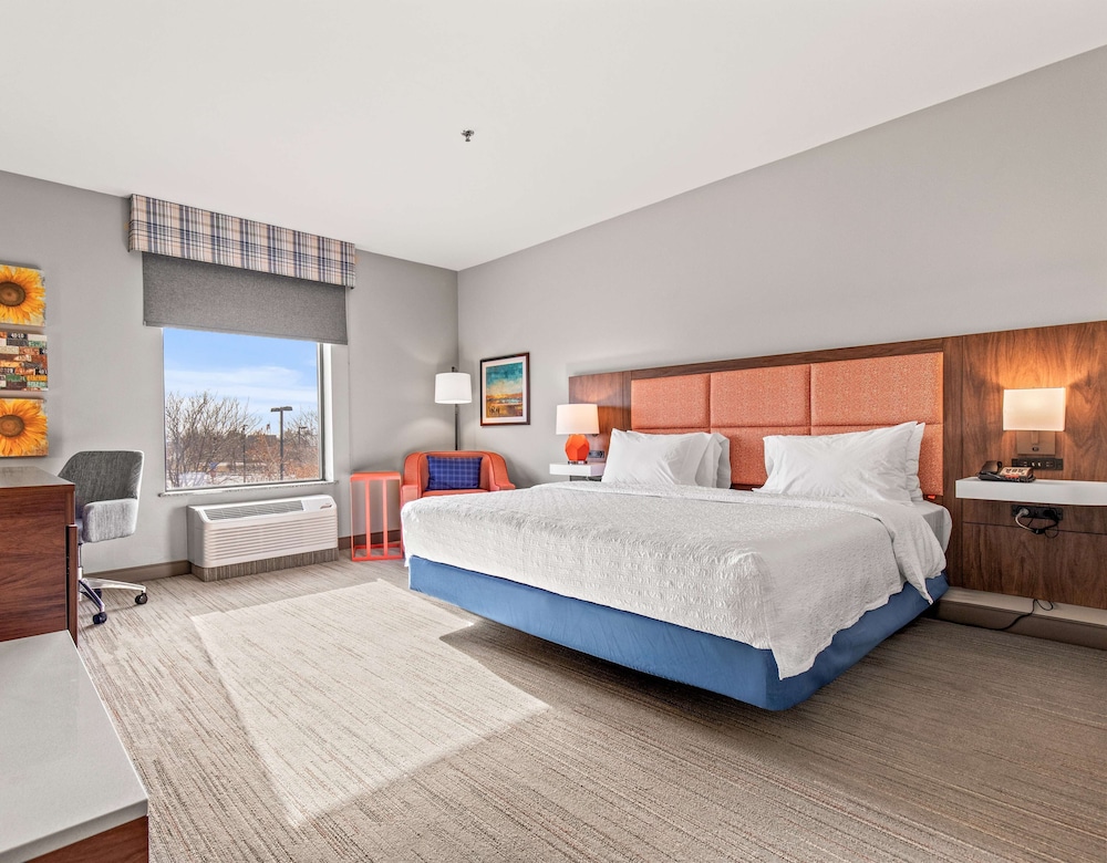 Room, 1 King Bed, Accessible - Photo 4