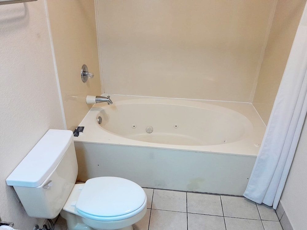 Executive Studio Suite photo 3