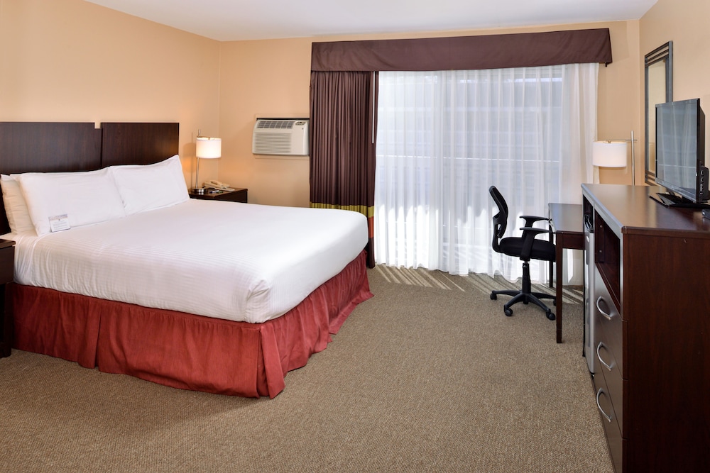 Room, 1 King Bed, Accessible - Photo 3