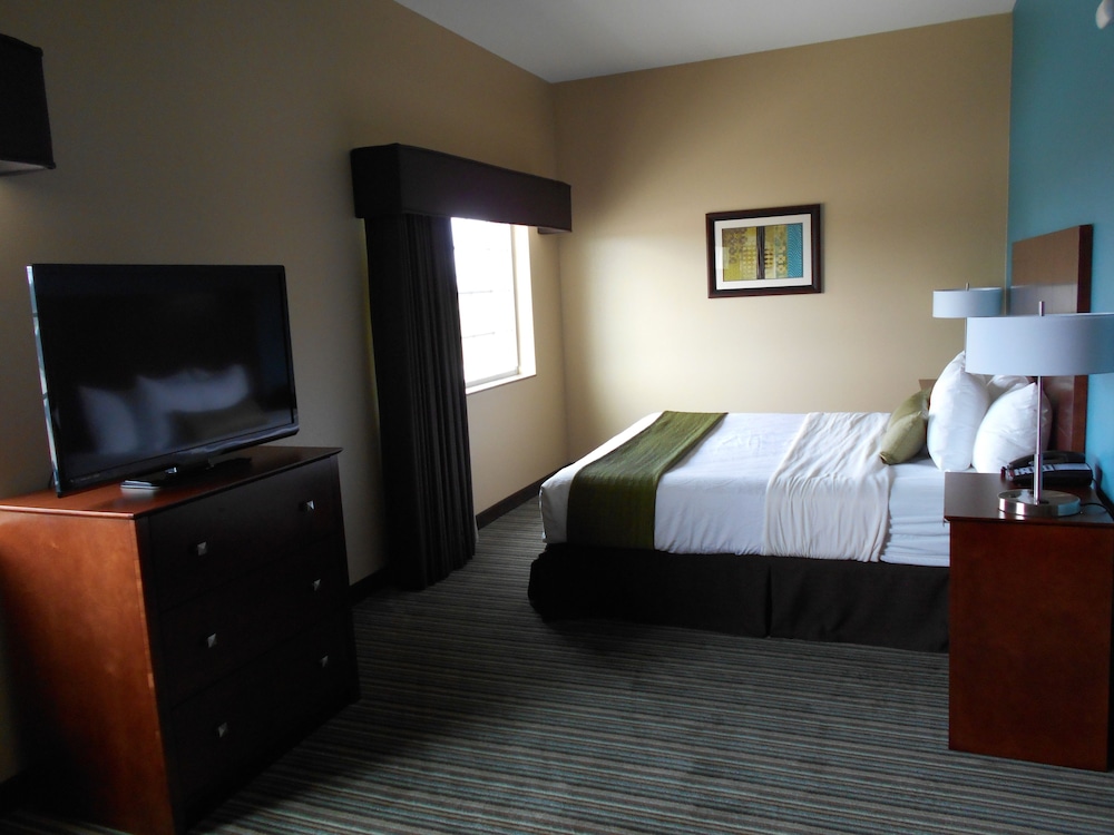 Suite, 1 King Bed with Sofa bed, Accessible, Kitchen (with Sofabed)