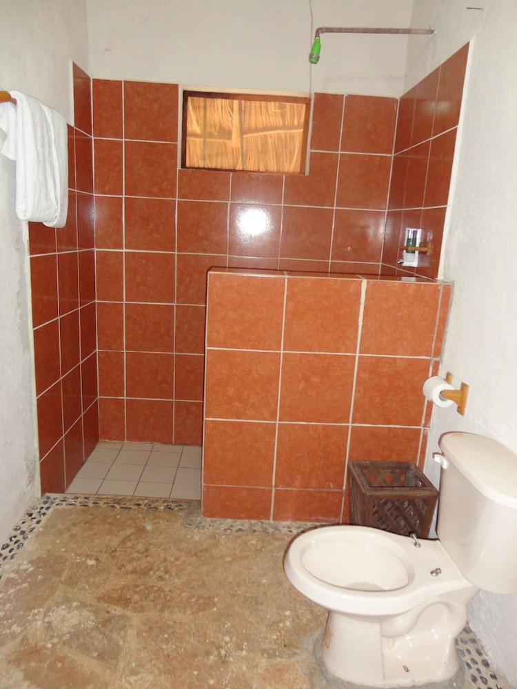 Basic Room photo 2
