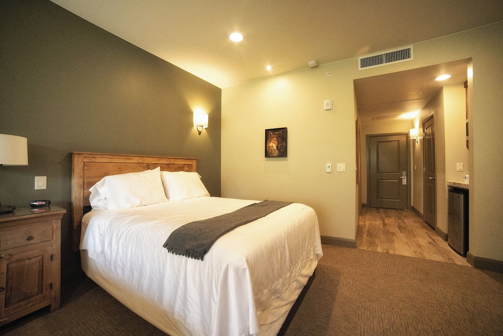 Premium Room, 1 King Bed, Accessible, Patio photo 2