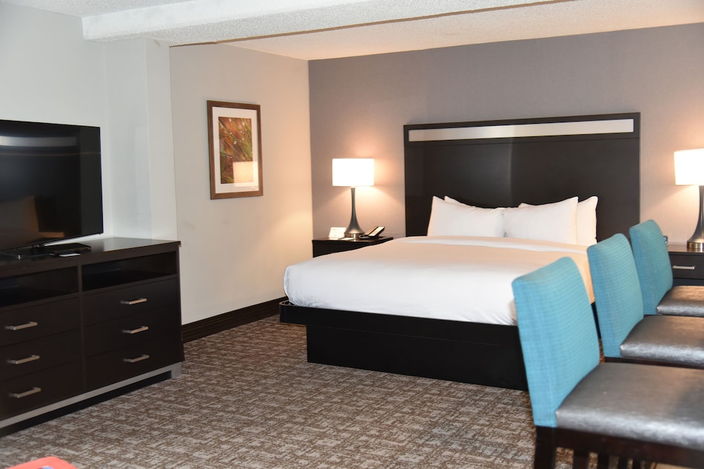 Junior Suite, 1 King Bed, Refrigerator & Microwave - Photo 4