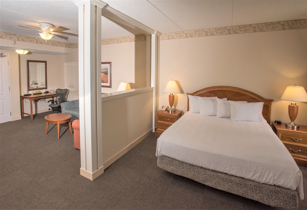 Suite, 1 King Bed, Accessible - Photo 6