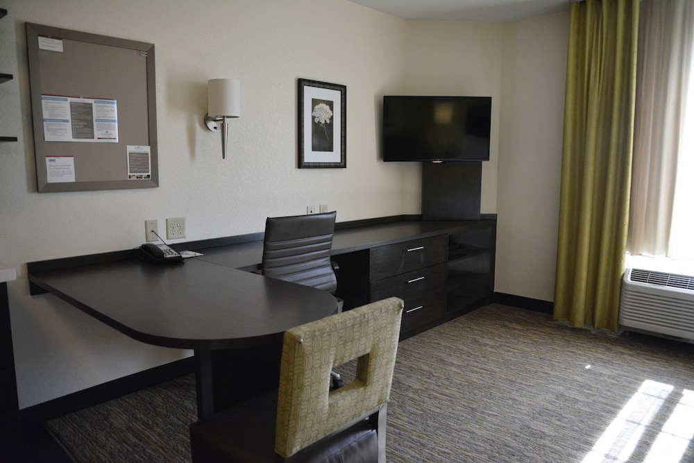 Studio Suite, 1 Queen Bed photo 2