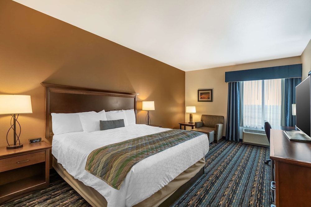 Standard Room, 1 King Bed, Accessible, Non Smoking