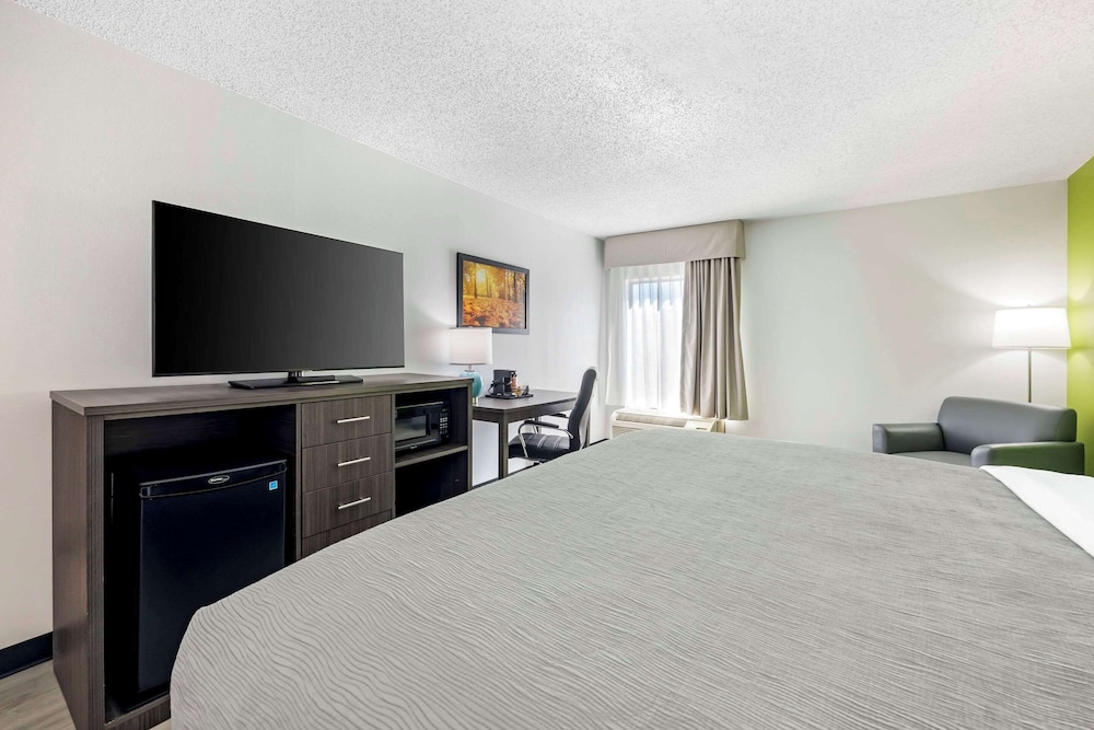 Room, 1 King Bed, Non Smoking (2 person whirlpool in bathroom) - Photo 4