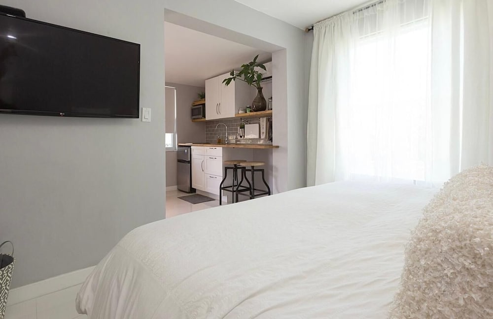 Fresh and modern Studio, 1 King , 1 twin sofa bed, non smoking  (no pool access) photo 3