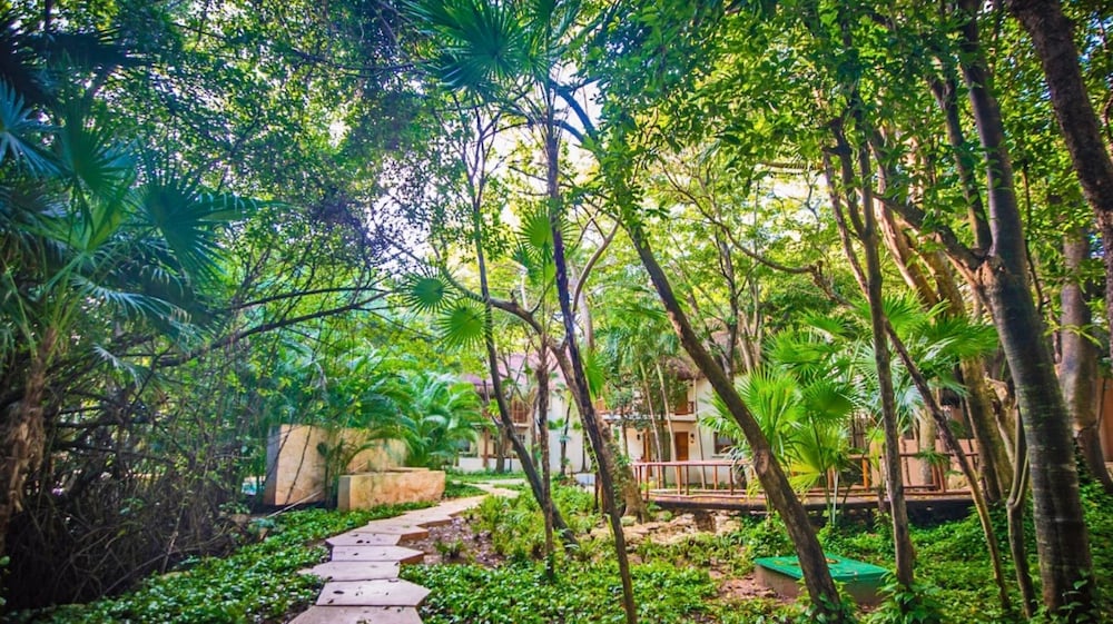 The Oasis Palapa