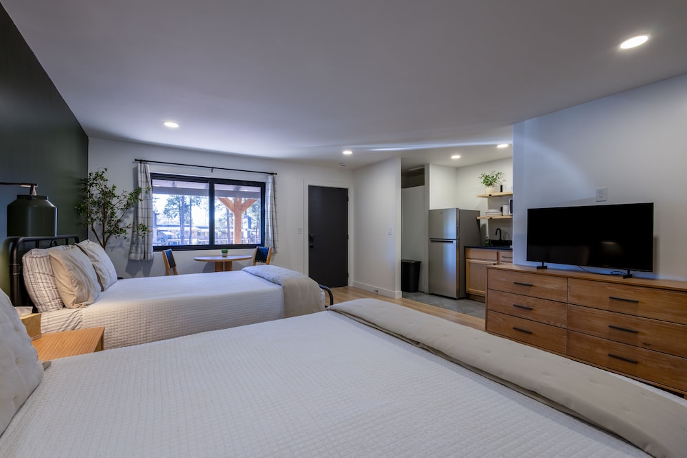 Basic Studio Suite