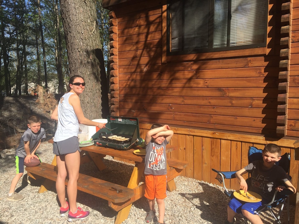 Log Cabin at Anvil Campground photo 2