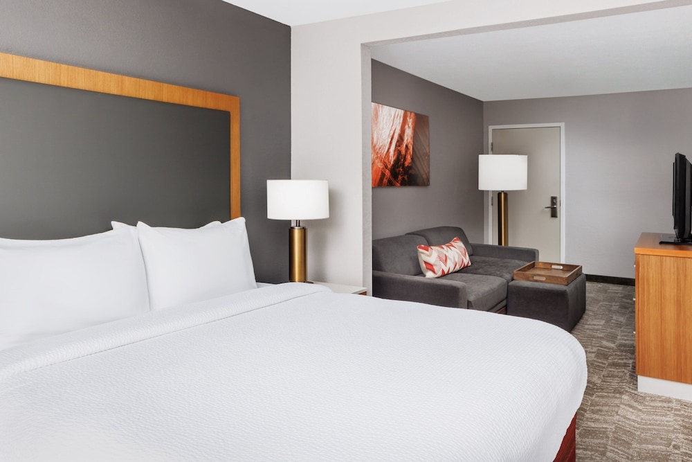 Suite, 1 King Bed with Sofa bed (Mobility Accessible, Roll-In Shower) - Photo 2
