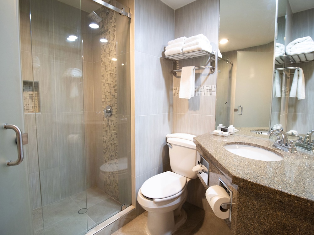 Superior Single Room, 1 King Bed - Photo 4