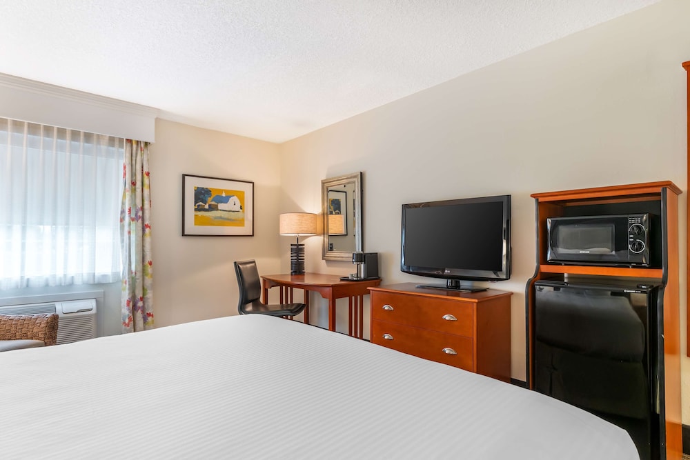 Standard Room, 1 King Bed, Accessible, Bathtub - Photo 3