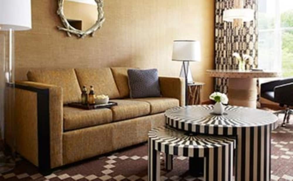 Studio Suite, 1 King Bed, Mobility Accessible (Communications)