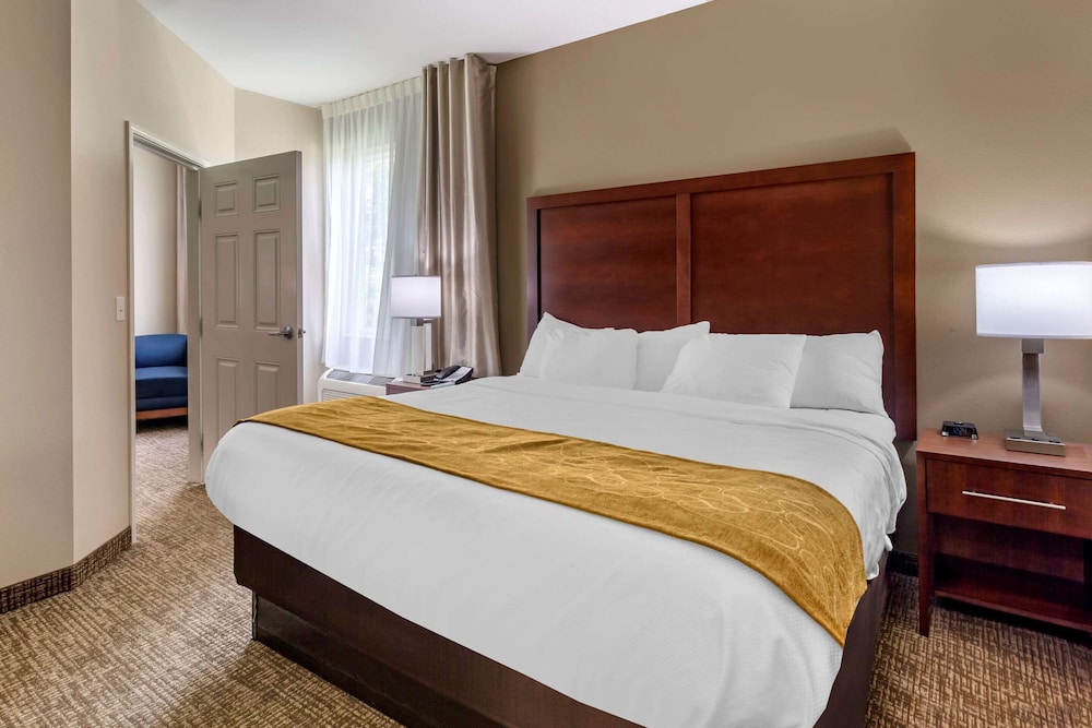 Suite, 1 King Bed with Sofa bed, Non Smoking - Photo 3