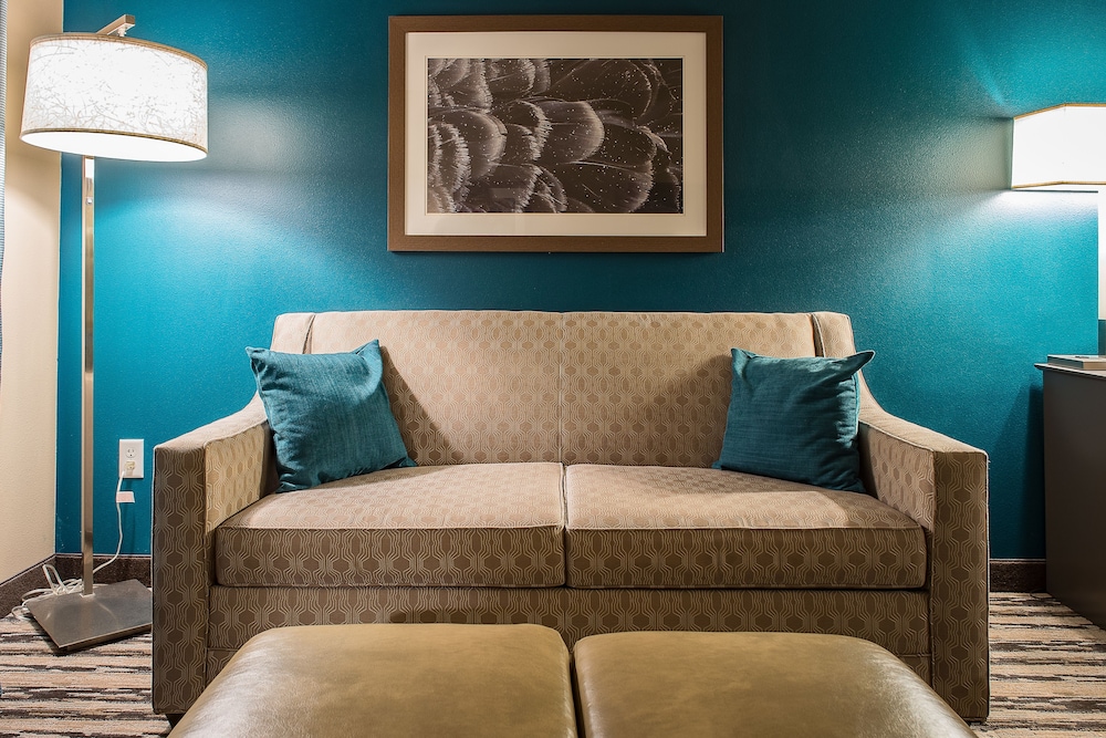 Deluxe King Suite  Accessible photo 3