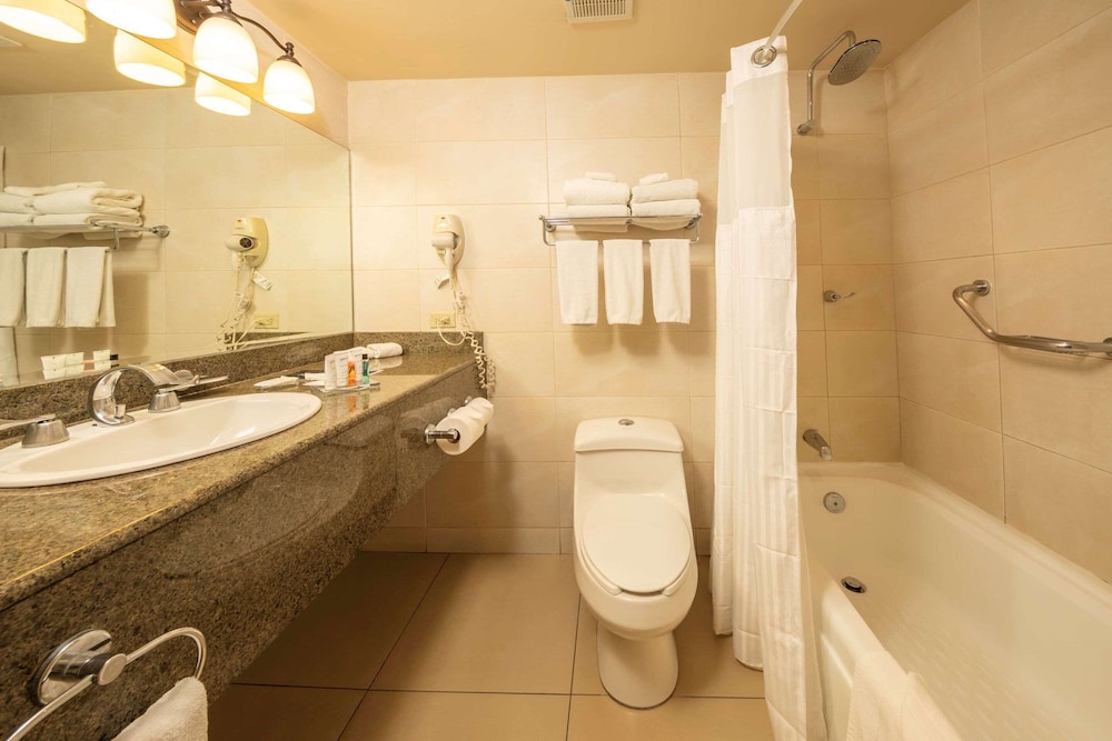 Suite, 1 Bedroom, Non Smoking - Photo 4
