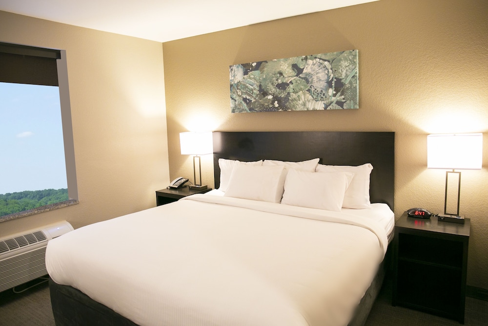 Deluxe Double Room, 1 King Bed, Accessible, Refrigerator & Microwave photo 1