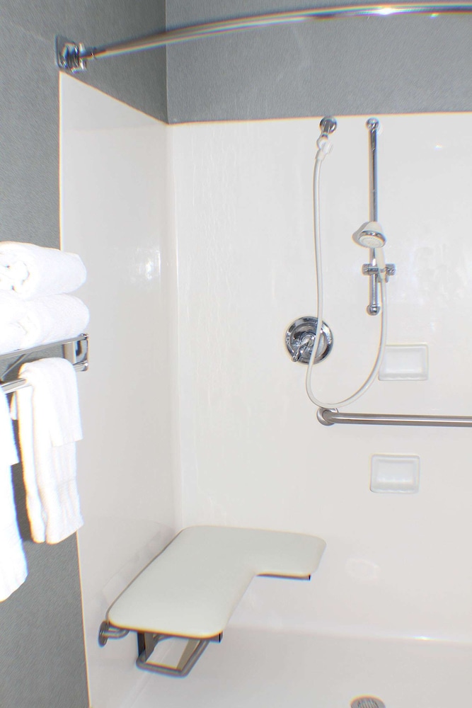 Room, 1 King Bed, Accessible, Non Smoking (Roll-in Shower) - Photo 5
