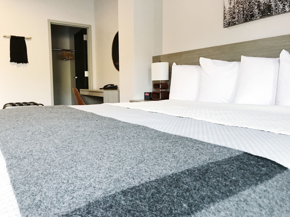 Room, 1 King Bed, Kitchenette