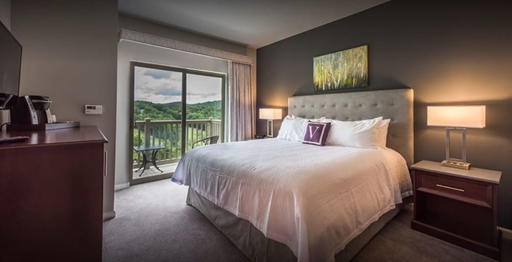 Deluxe Suite, 1 King Bed photo 3