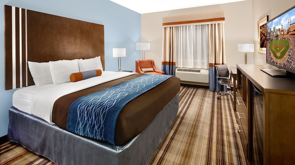Standard Room, 1 King Bed, Non Smoking, Refrigerator & Microwave