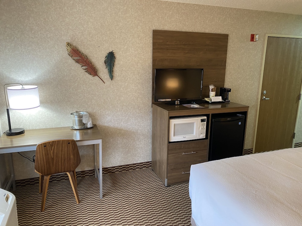 Traditional Room, 1 Queen Bed, Refrigerator & Microwave, Desert View photo 2