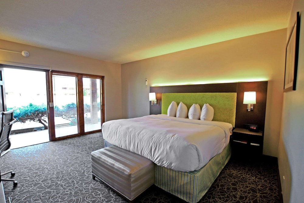 Standard Room, 1 King Bed, Non Smoking - Photo 11