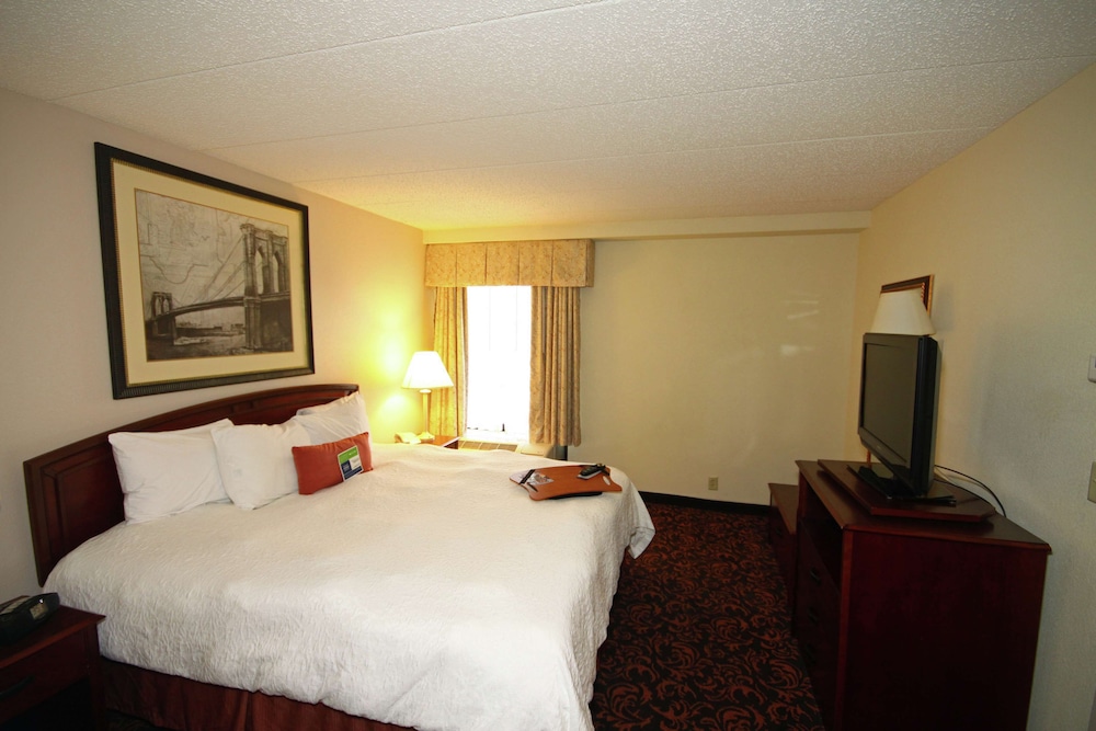 Room, 1 King Bed, Accessible, Non Smoking (Bathtub) - Photo 5