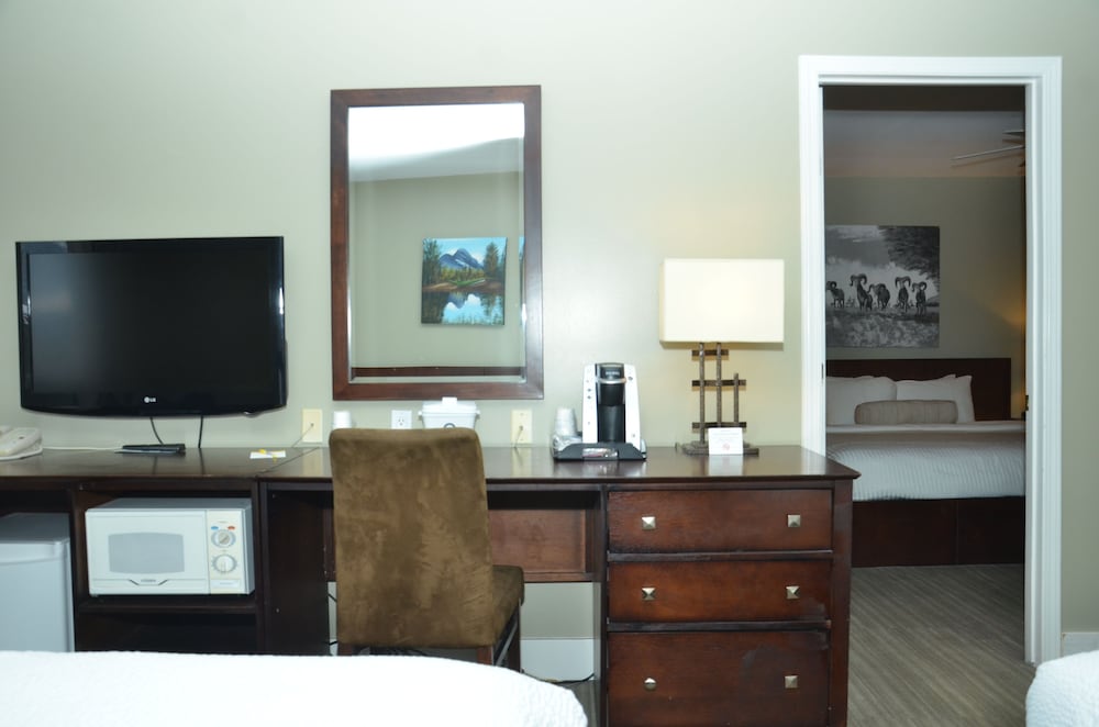 Studio Suite, Non Smoking photo 3